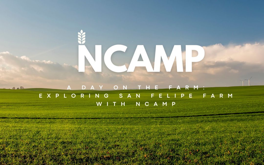 A Day on the Farm: Exploring San Felipe Farm with NCAMP