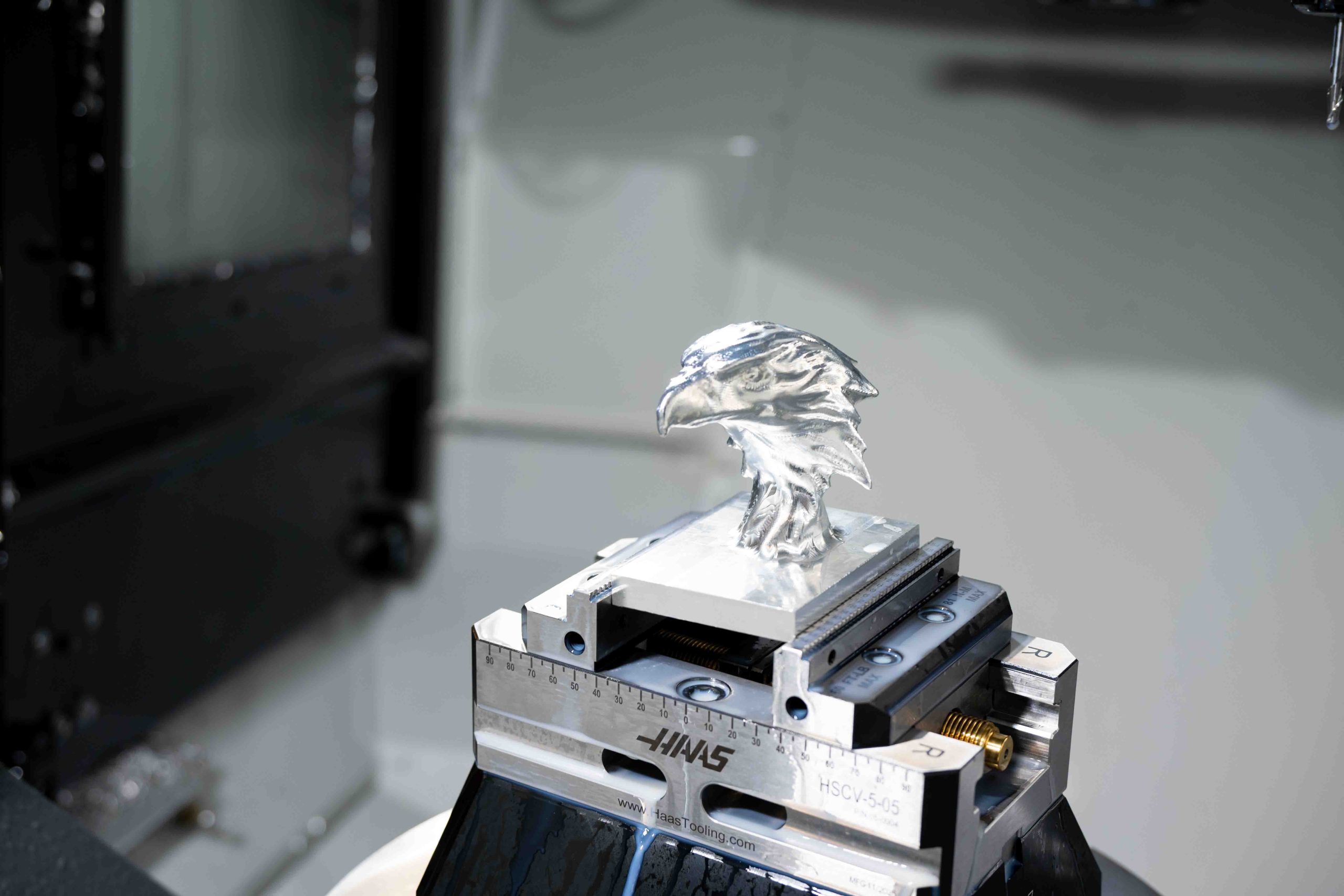 Graduate student Alex b. shows the eagle project he created