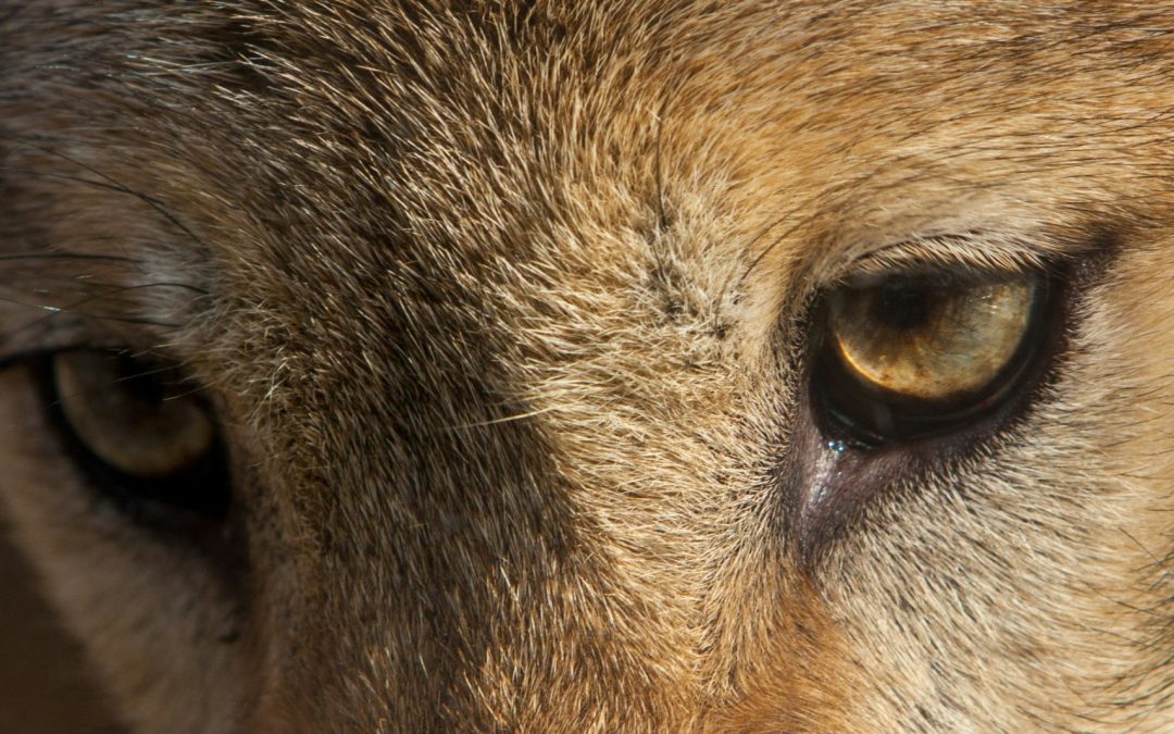 Proprioception by Blake Murdock