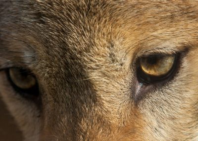 Proprioception by Blake Murdock