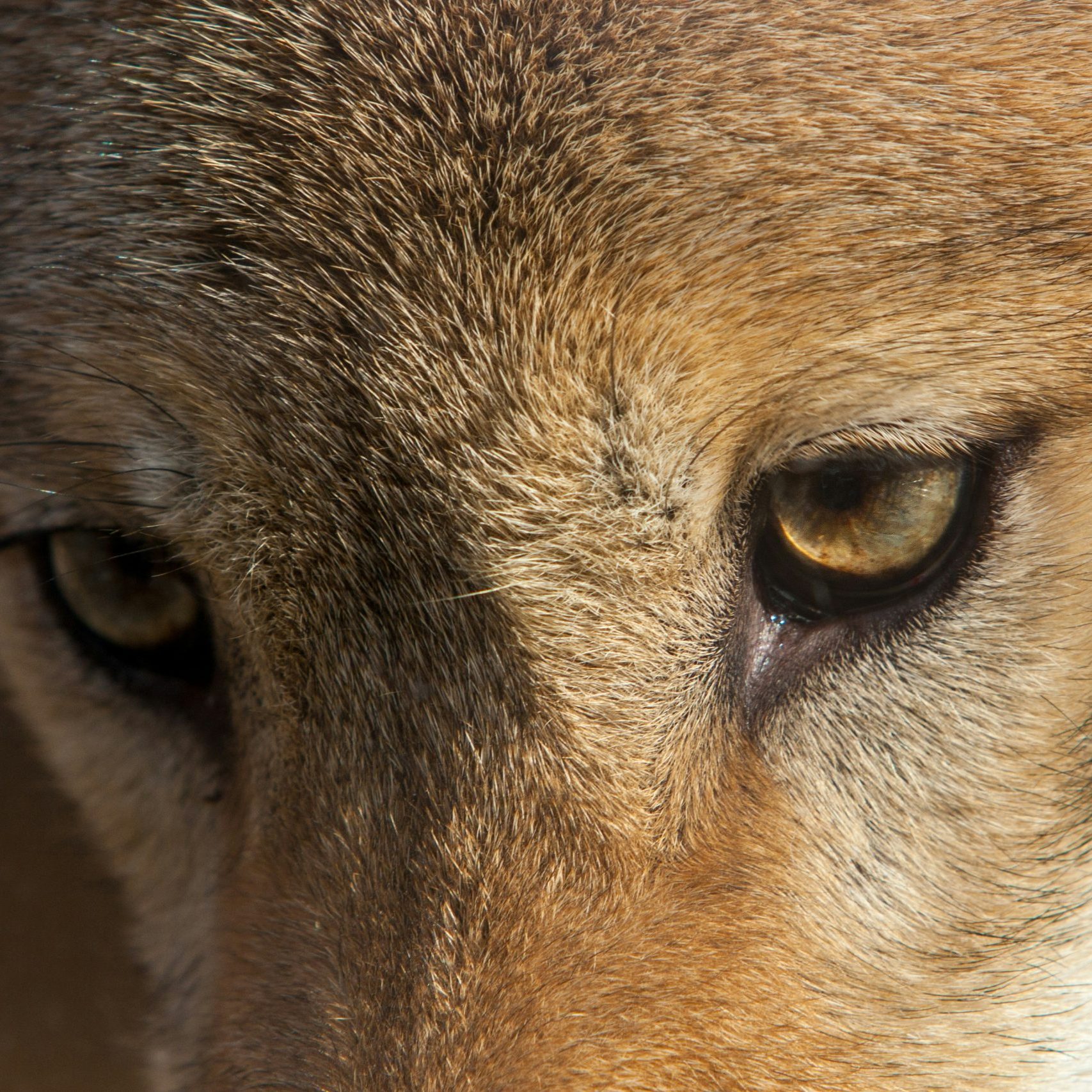 Blake Murdock (they/them)