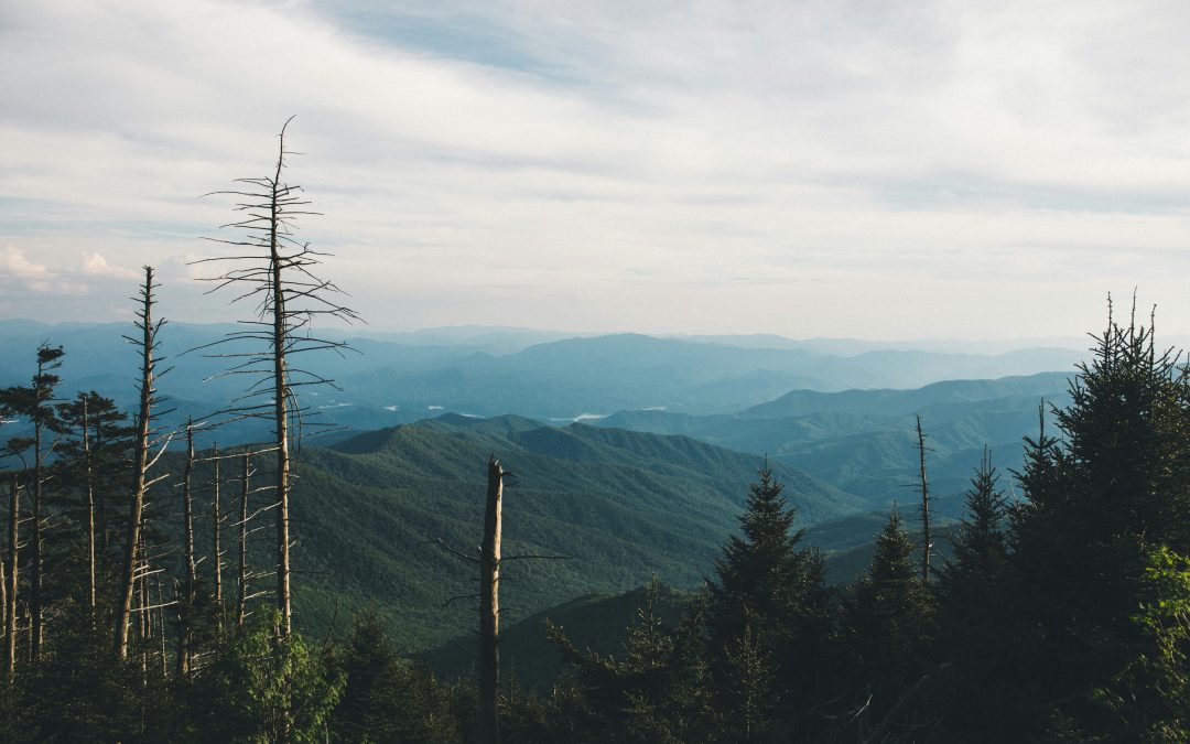 steam by Blake Murdock