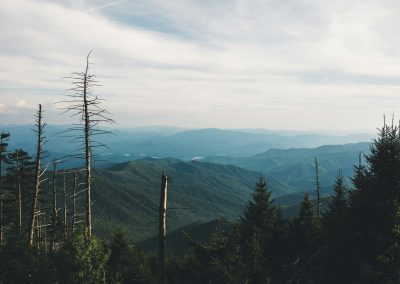 steam by Blake Murdock