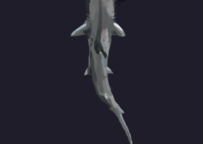 Mr. Shark by Savannah Little