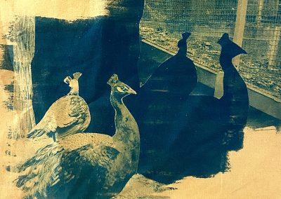 November by Alexis Bumgardner