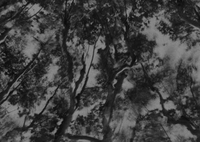 Print 28 by Kaylee Renée