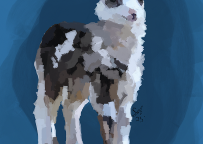 The Messiah by Savannah Little