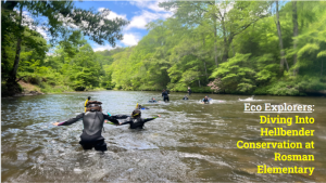 Photo of Eco Explorers