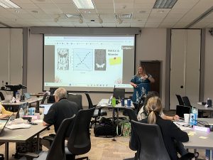 Educators listening to a presentation